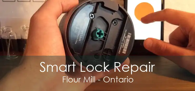 Smart Lock Repair Flour Mill - Ontario