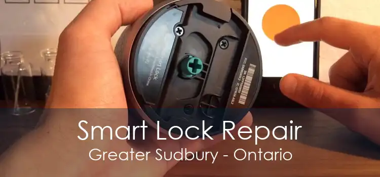 Smart Lock Repair Greater Sudbury - Ontario