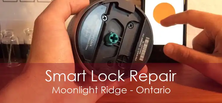 Smart Lock Repair Moonlight Ridge - Ontario