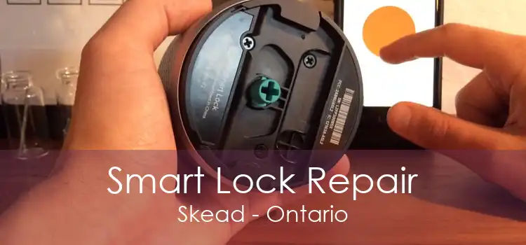 Smart Lock Repair Skead - Ontario