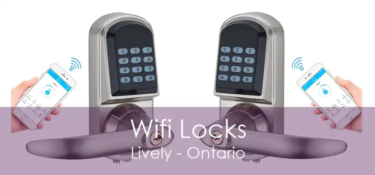 Wifi Locks Lively - Ontario